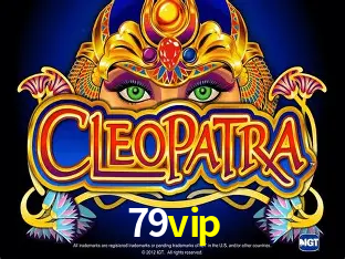 Descubra a Essência do 79vip: Nossa História e Compromissos